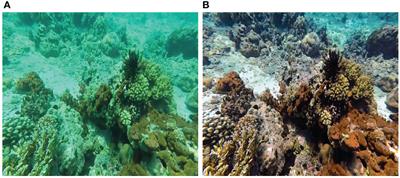 Fast underwater image enhancement based on a generative adversarial framework